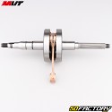 Crankshaft Minarelli horizontal MBK Nitro,  Ovetto,  Yamaha... MVT  S-Race (piston pin Ã˜10 mm)