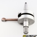 Albero motore Rotax 122 Aprilia RS, SX, RX, MX, AF1 Futura, Pegaso... 125
