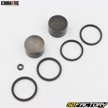 Kit de reparación de pinza de freno trasero Gas Gas  TXT Pro 300 (2003 - 2013)... Braktec