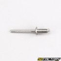 Ã˜4.8 mm stainless steel rivet