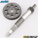 Transmission Primaire 15/49 Aprilia Scarabeo,  Piaggio Beverly,  Vespa... 4T Polini