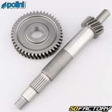 Transmission primaire 17/44 Aprilia Atlantic, Piaggio Liberty, Malaguti... 125 4T Polini