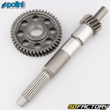 17/45 primary transmission Vespa Primavera,  Sprint,  Piaggio Liberty... Polini