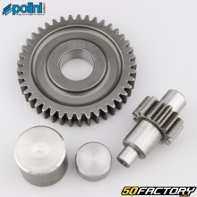 Secondary transmission 14/41 PGO G max, PMX,  Ligero... Polini