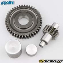 Transmission secondaire 15/42 Minarelli vertical, horizontal MBK Nitro, Yamaha Aerox... Polini