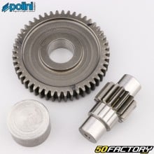 Secondary transmission 15/48 Cagiva Progress, Derbi Atlantis,  Hunter... Polini