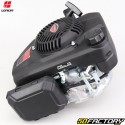 Vertical axis engine Loncin LC 2000 FE-2000 cc lawn mower