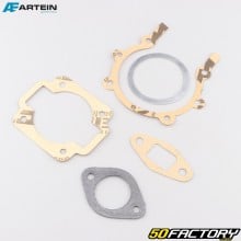 Minarelli Motosa I-50-52 engine gaskets Artein