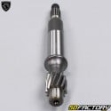 Transmission shaft Peugeot TKR,  Kisbee, Ludix, Citystar... 50 2T