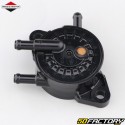 Pompa del carburante Briggs-Stratton, John Deere