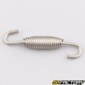 Exhaust spring 50 mm