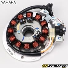 Stator ignition MBK Nitro,  Ovetto,  Yamaha Aerox, Neo&#39;s 50...