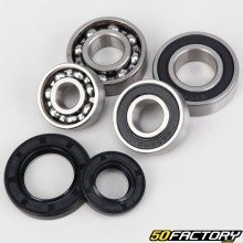 Bearings and transmission oil seals Peugeot horizontal Ludix, Django 50 ...