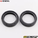 Fork oil seals 100x100x100 mm Honda CBX, Shadow 750, Yamaha TZR 250 ... Athena