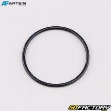 O-ring junta da cabeça do cilindro &Oslash;45x2.5 mm Peugeot 103, MBK 51 Artein