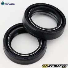 Fork oil seals 100x100x100 mm Honda CB 1000, Kawasaki KLX 1000, Kymco Agility 200...Centauro