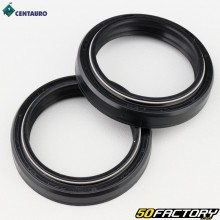 Fork oil seals 100x100x200/200mm Honda Shadow 750, Kawasaki Z6R 600... Centauro