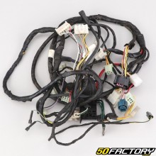 Wiring harness Peugeot Jet Force 50 2T