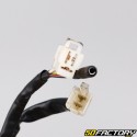 Motore completo Peugeot Jet Force liquido 50 2T (scambio standard)
