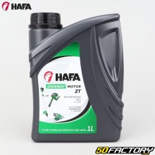 2T Olio motore semisintetico Hafa Edenway Motor 1XL