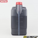 2 Motoröl Motul Garden Technosynthese 5XL