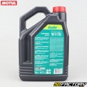 Olio motore 2 Motul Garden tecnosintesi 5XL