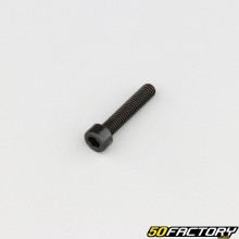 Tornillo 5x25 mm cabeza BTR clase 8.8 negro (por unidad)