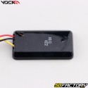 Thermometer XNUMX-XNUMX°C LED, rot Voca Race Faster universell