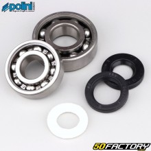 Crankshaft bearings and seals Peugeot 103 SP, MVL, XP ... Polini