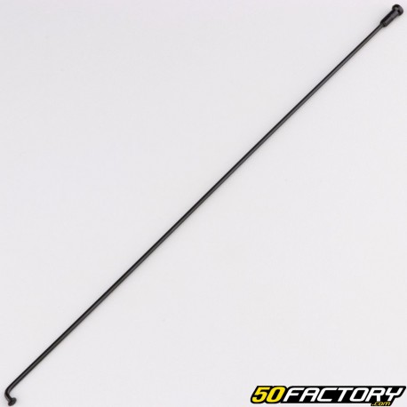 Ray2x250 mm black bicycle wheel with nut