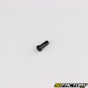 RayFahrradrad 2x246 mm schwarz mit Mutter