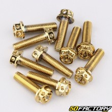 Screw 8x30 mm hexagonal drilled head with gold base (pack of 10)
