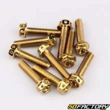 Screw 8x35 mm hexagonal drilled head with gold base (pack of 10)