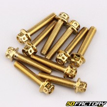 Screw 6x30 mm hexagonal drilled head with gold base (pack of 10)