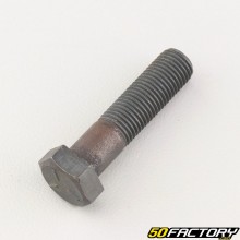 Mower blade screw 38 mm Castelgarden, MTD, Noma, Stiga