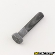 Mower blade screw 45 mm Castelgarden, Noma, Stiga
