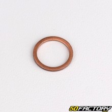 Guarnizione tappo radiatore e sonda Ø14mm Derbi Senda,  Aprilia,  Gilera...