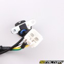 Estator de encendido motor 139FMB Horizontal 50 4T Dax,  City,  Yamasaki,  Kymco, Eurocka ... V4
