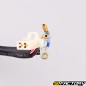 Ignição completa mini rotor Zongshen Fiddy, Daytona 110, 125 4T V1