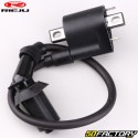 Bobina di accensione Yamaha YBR, Honda CBR,  Rieju  MRT 125 ...