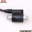 Bobina di accensione Yamaha YBR, Honda CBR,  Rieju  MRT 125 ...