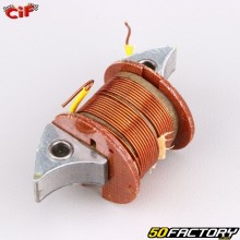 Bobina di accensione interna Vespa GTR 125, Super,  Sprint 150 ...