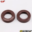 Crankshaft spinnaker bearings and seals (viton) Vespa Primavera, ET3 50, 125...
