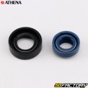 Motordichtungen AM6 Minarelli Athena
