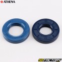 Motordichtungen AM6 Minarelli Athena