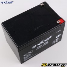 Axcell AP12-12 12V 12Ah acid maintenance-free lawn mower battery