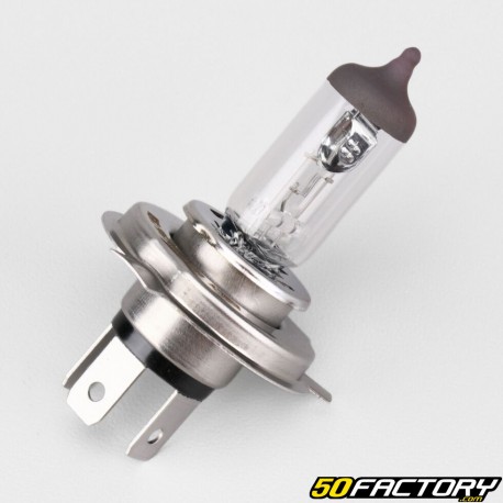 Lampadina faro HS1 12V 35/35W