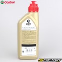 Olio motore 2T Castrol A747 1L
