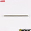 Capas refletivas para raios de bicicleta Lampa (lote de 10)