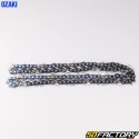 Catena per motosega 0.325&#39;&#39;, 1.6 mm, 67 maglie Ozaki